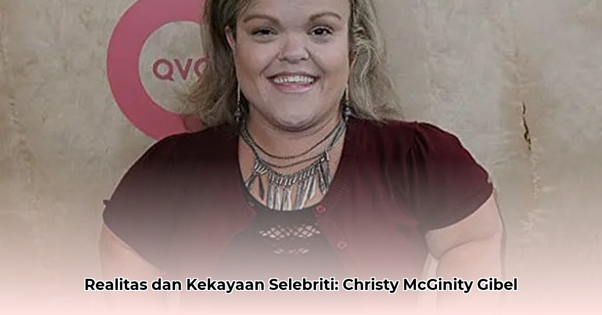 christy mcginity gibel net worth
